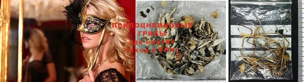 spice Алексеевка