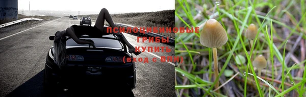 тгк Абинск