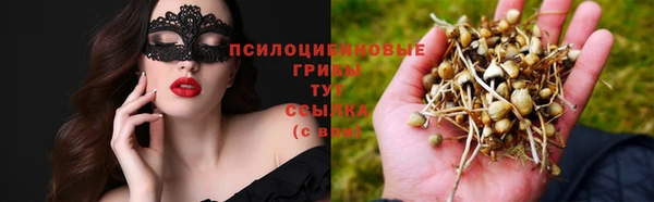 тгк Абинск