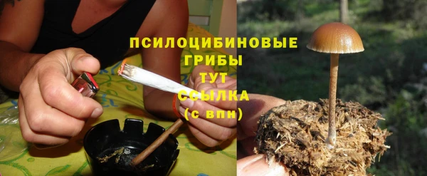 прущий лед Абаза