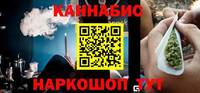 гидра Новодвинск