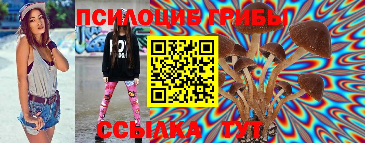 Галлюциногенные грибы GOLDEN TEACHER  Галлюциногенные грибы Psilocybe  Вход с VPN  Ртищево 