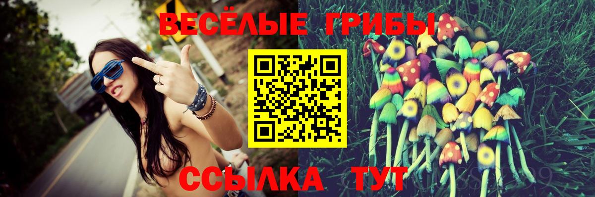 Галлюциногенные грибы Magic Shrooms Ртищево