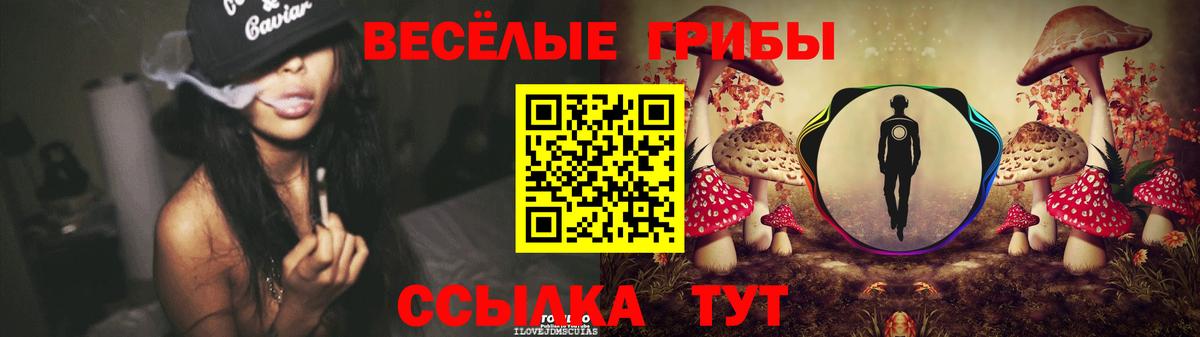 Ртищево  Псилоцибиновые грибы ЛСД  Вход с VPN 